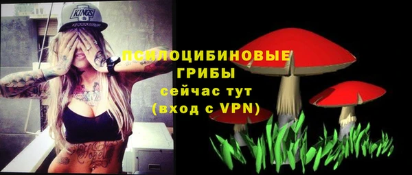 ECSTASY Алексеевка