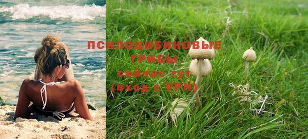 apvp Алексин