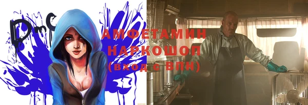 PSILOCYBIN Алзамай