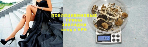 apvp Алексин