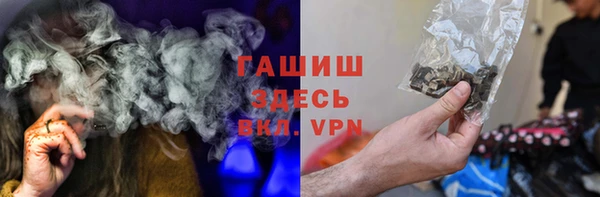 PSILOCYBIN Алзамай