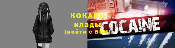 PSILOCYBIN Алзамай