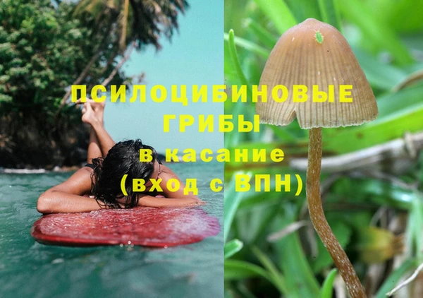 ECSTASY Алексеевка