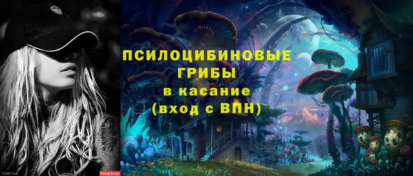 PSILOCYBIN Алзамай
