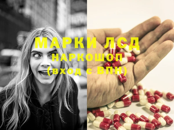 PSILOCYBIN Алзамай
