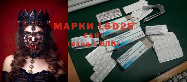 PSILOCYBIN Алзамай