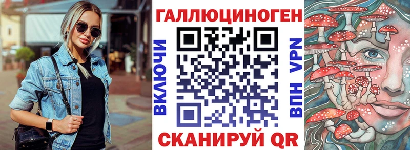 Псилоцибиновые грибы Psilocybe  купить   Опочка 